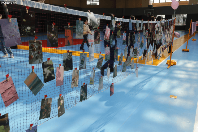 1719804684839624.gif 50101459-7083b78b34e781b2.gif